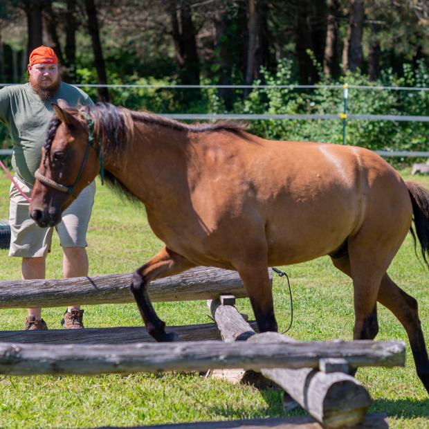 Spiritdogs Farm 2019 8004073