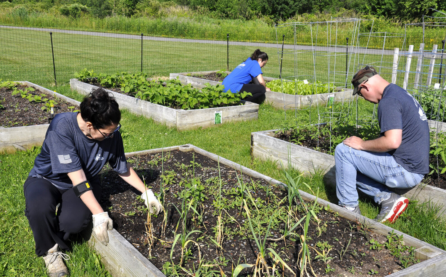 Military veterans working in a community garden.