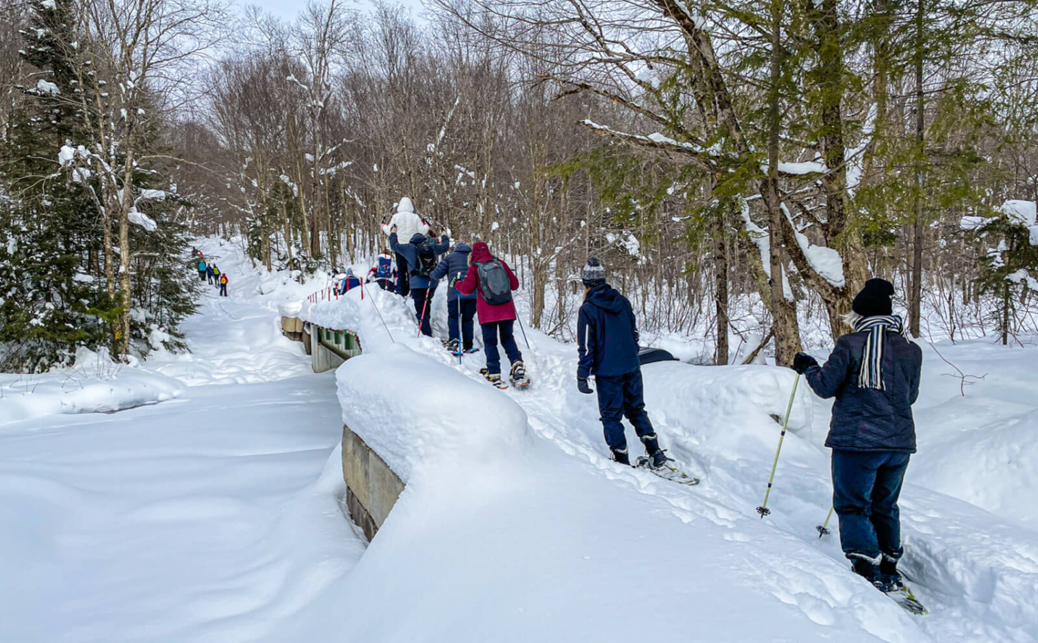 Military veterans snowshoeing in the winter.